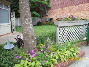 The Drummer's Cafe Lawn
